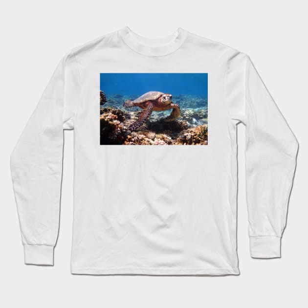 a turtle swimming under water on gili meno island in indonesia Long Sleeve T-Shirt by Geoff79